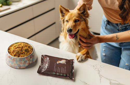 An image showing best dog food in Melbourne.