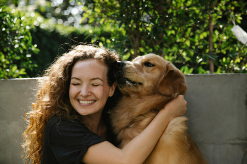 Golden Retrievers Unleashed: Your Go -To Care and Training Manual - Brunswick Fur Food