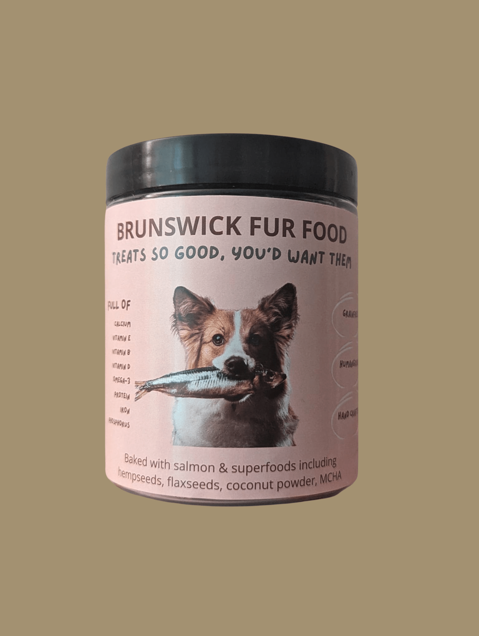 Delicious Fish Treat Jar- Brunswick Fur Food (BFF)